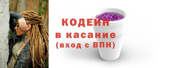 индика Дмитров