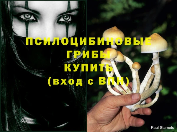 винт Переславль-Залесский