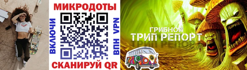 darknet состав  Большой Камень  Псилоцибиновые грибы MAGIC MUSHROOMS  магазин    hydra как войти 