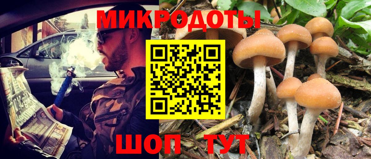 Большой Камень  Псилоцибиновые грибы Psilocybe  Вход с VPN 