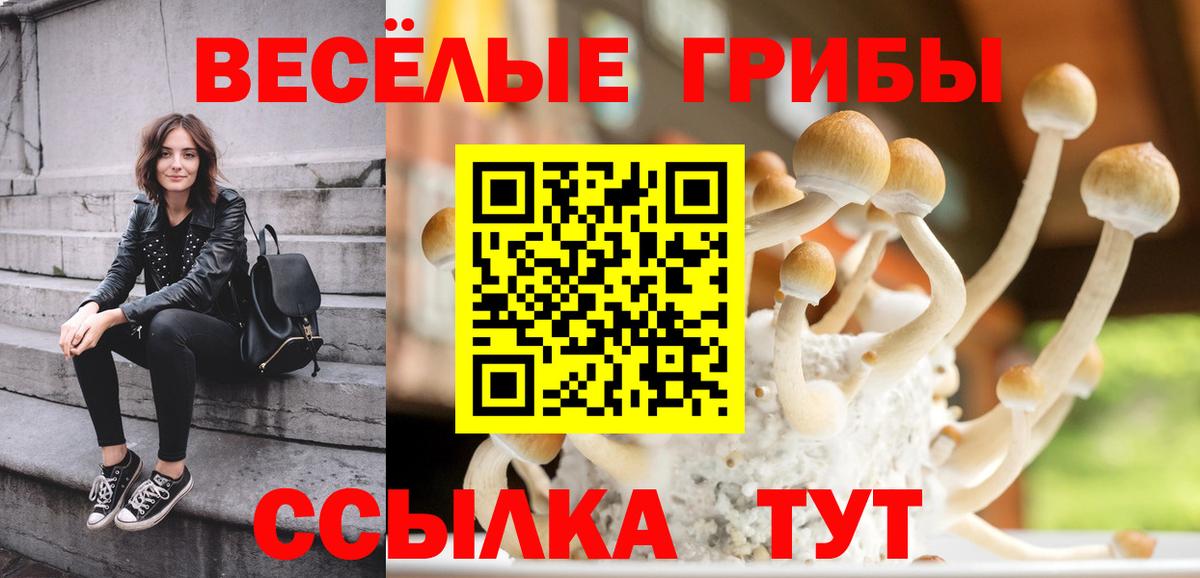 Псилоцибиновые грибы прущие грибы  Большой Камень 