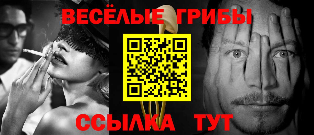 Псилоцибиновые грибы Magic Shrooms Большой Камень